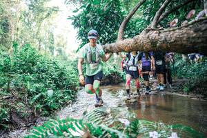 BIB: 
                            <button type="button" onclick="openModal(25472174)" class="btn btn-primary btn-sm float-right btn-popup" data-toggle="modal" data-target=".modal-high-quality">
                        <i class="fas fa-shopping-cart"></i> Add to Cart
                    </button>
                                            <button type="button" onclick="isThisMe(25472174, true)" class="btn btn-success btn-sm float-right btn-popup btn-isme hidden" data-toggle="tooltip" data-placement="bottom" title="นี่คือรูปของคุณใช่ไหม คลิกที่นี่เพื่อเอาเข้าอัลบั้ม">
                        <i class="fas fa-plus"></i> Add to album
                    </button>
                    <button type="button" onclick="isThisMe(25472174, false)" class="btn btn-warning btn-sm float-right btn-popup btn-isnotme hidden">
                        <i class="fas fa-ban"></i> Remove from album
                    </button>